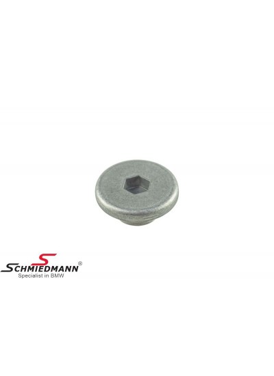 E36/E46/E34/E39/E38 KAYIŞ GERGİ KAPAĞI M41/M47/M51