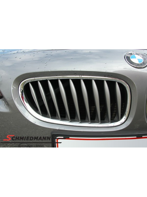 Z4 E85 PANJUR SOL…