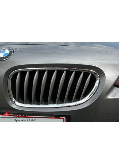 Z4 E85 PANJUR SAĞ Z4 E85 PANJUR SAĞ