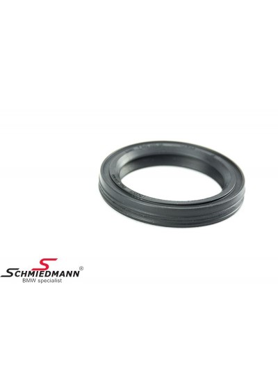 E60/E65/E63/X5 E53/X5 E70 EKSANTRİK AYAR MOTOR CONTASI N62/N62N E60/E65/E63/X5 E53/X5 E70 EKSANTRİK AYAR MOTOR CONTASI N62/N62N