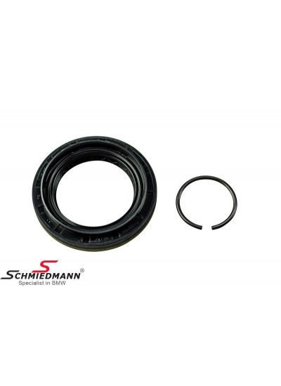 DEFRANSİYEL YAN KEÇESİ