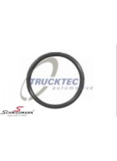 MANYETİK VALF ORİNGİ MANYETİK VALF ORİNGİ