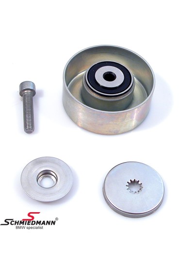 KAYIS GERGİ BİLYASI M47N