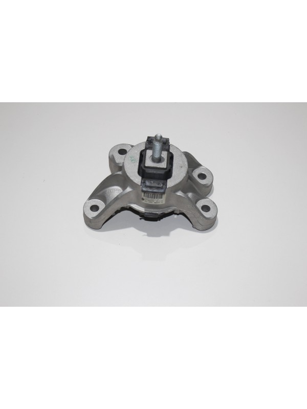 ŞANZIMAN KULAĞI…